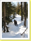 Schneeschuhtour Lauchern-Tellialp Schneeschuhtour Lauchern-Tellialp