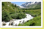 Wanderung zum Grundsee Wanderung zum Grundsee