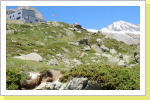 Anenh&uuml;tte